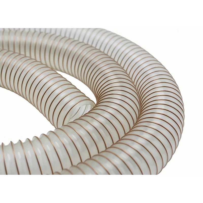 Translucent Hose